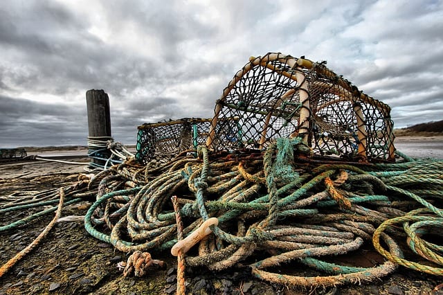 Lobster pot thief lands in hot water Lobster pot thief lands in hot water